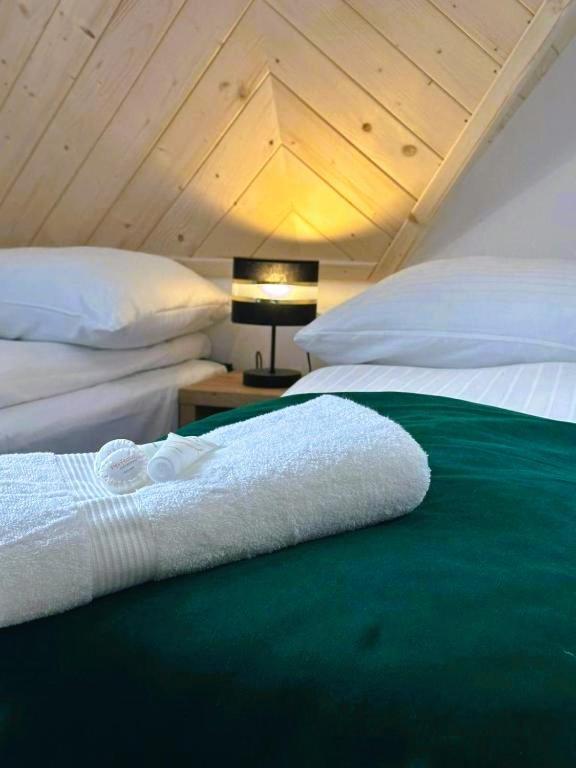 Apartamenty Gorskie Widoki Poronin Eksteriør bilde